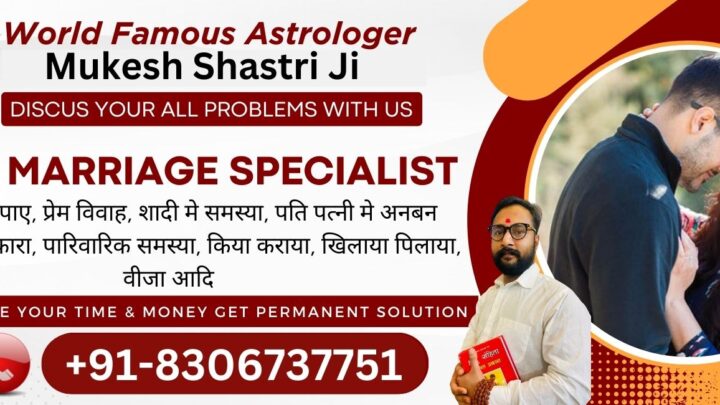 Best Love Solution Astrologer Without Money